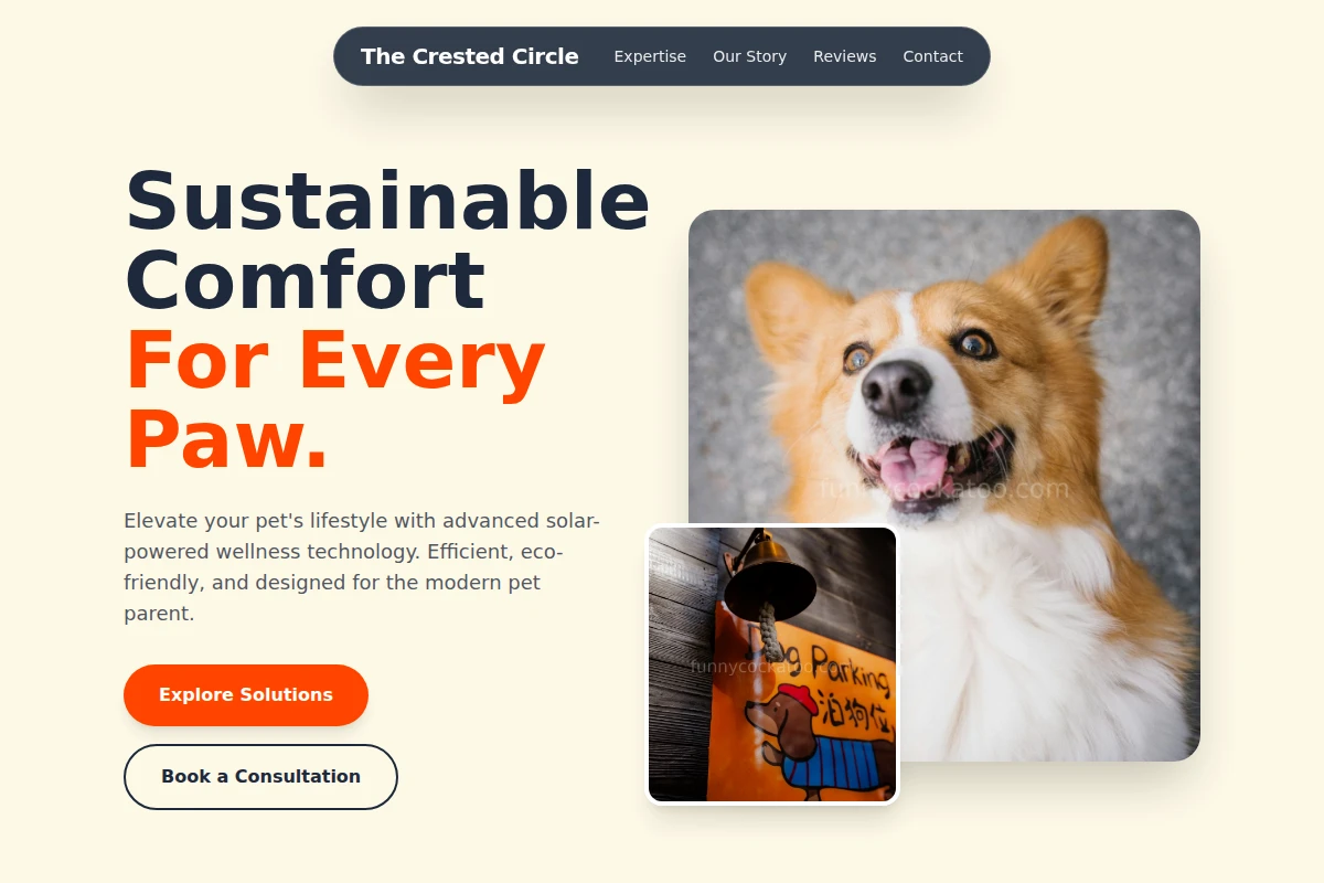 pet-services